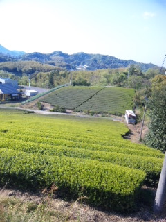 a0235209_145034100.jpg