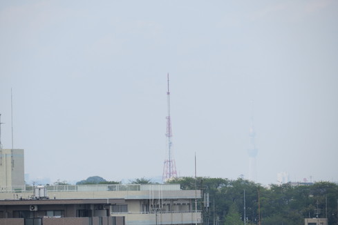 b0087914_81644.jpg
