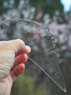 氷の世界・・・気温－0.7℃・晴れ　　　　朽木小川・気象台より_c0044819_6415119.jpg