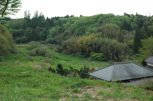 d0233324_3261394.jpg