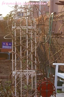 f0170524_20533272.jpg
