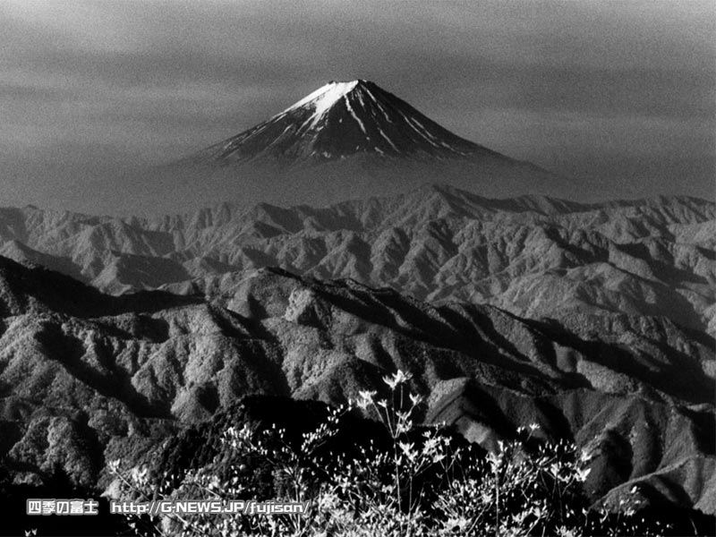 a0261026_22272914.jpg