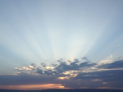 b0164428_23332527.jpg