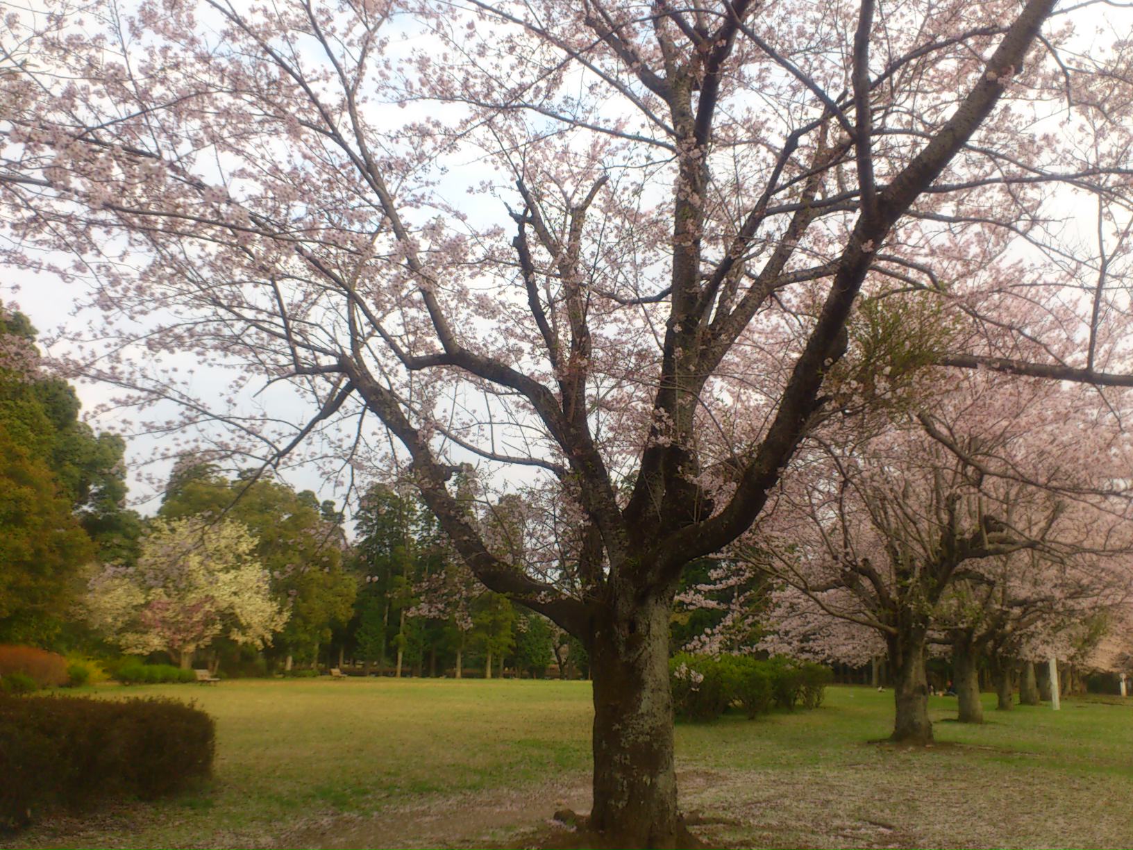 c0165636_14372960.jpg