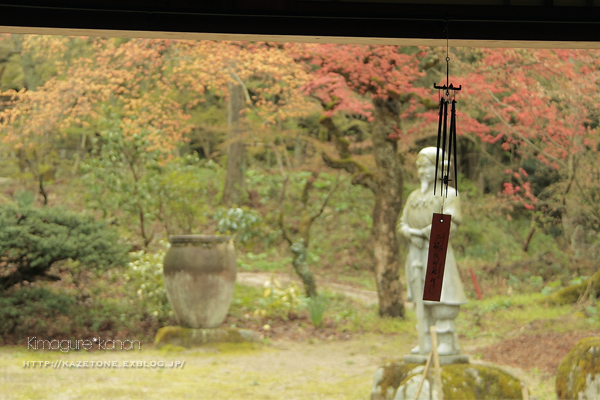 山野草と蕎麦に巡り合える神社♪_b0197639_2245298.jpg