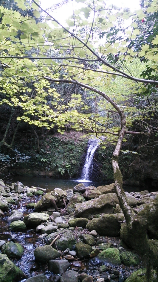 d0191640_15575335.jpg