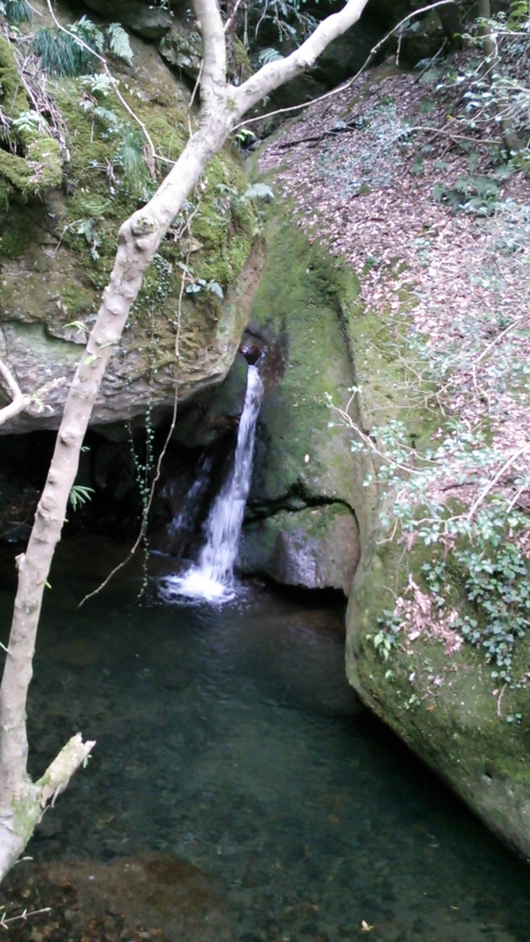 d0191640_15575420.jpg