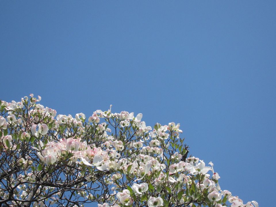 a0081957_05015.jpg