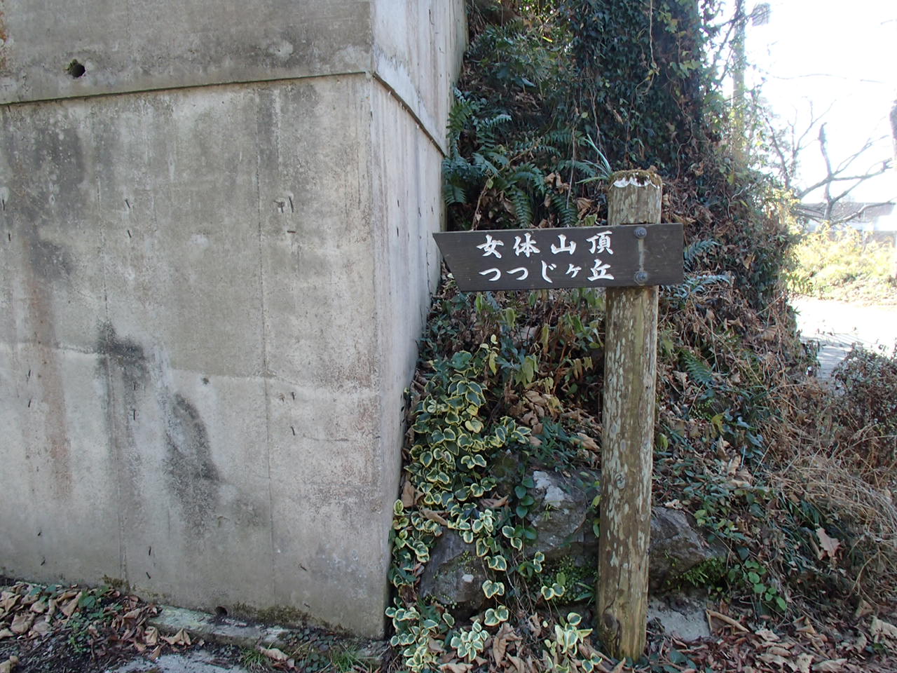 b0276758_17462897.jpg