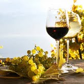 イタリアビオワインとマクロビイタリアンの会_b0279058_1650358.jpg