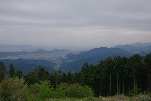 高山　市民の森（静岡市）_d0164761_8392645.jpg