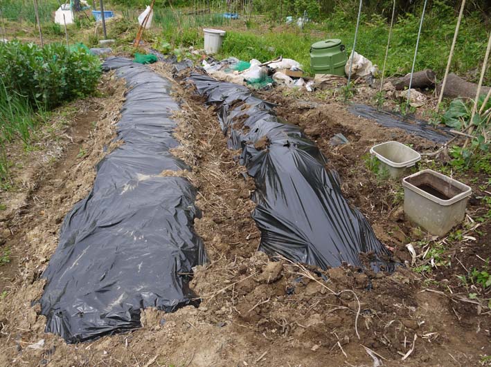 コダマスイカ、トマト、ナスなど夏野菜一気に植え付け：4・23_c0014967_21383763.jpg