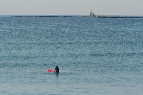 a0157069_85557.jpg
