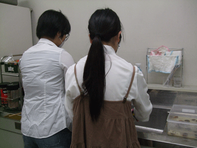 c0152274_1433271.gif