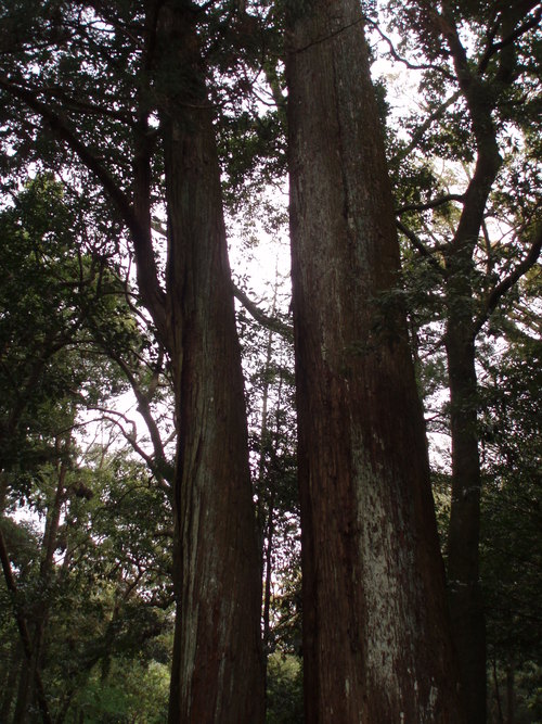 c0240877_15392870.jpg
