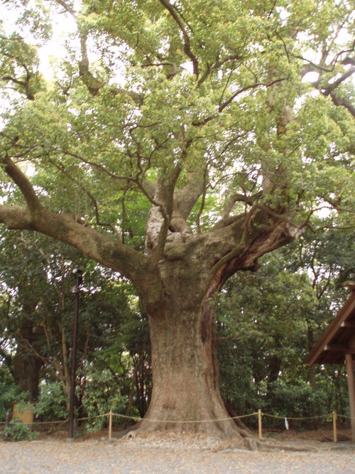 c0240877_15593976.jpg