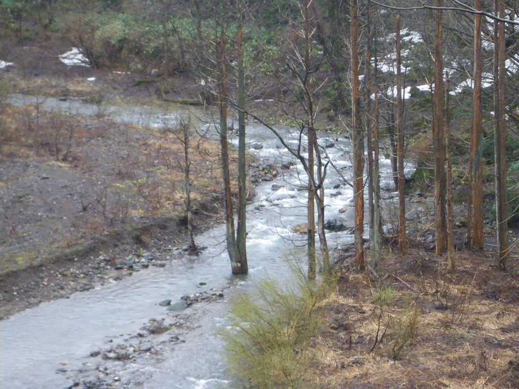 雨雪の山行き_b0093678_1732099.jpg