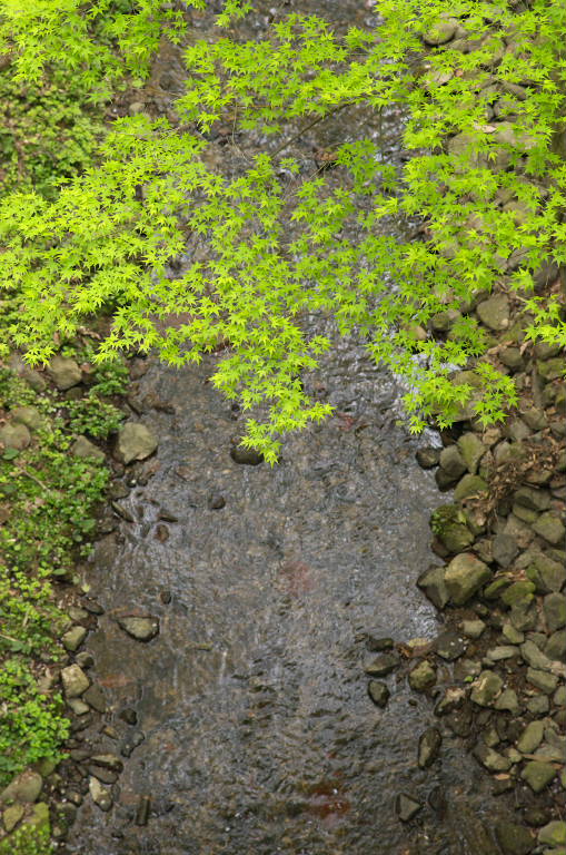 d0069495_13252294.jpg
