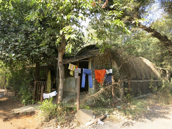 c0145897_23444320.jpg