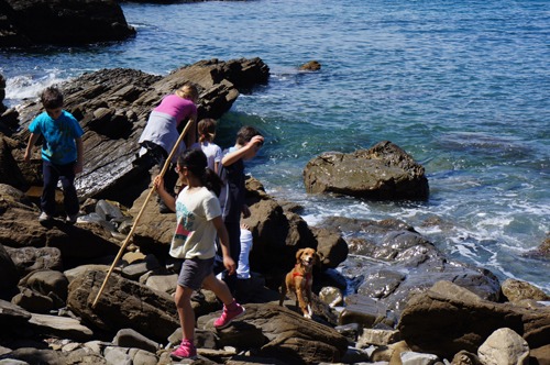 今年は海のハイキング_f0106597_3142697.jpg