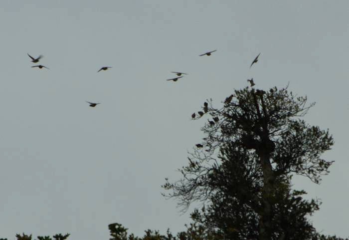 b0028598_20115990.jpg