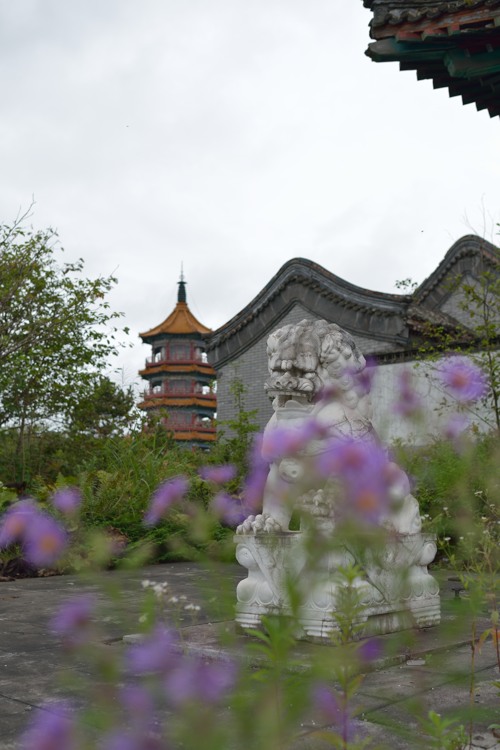 d0264503_21353637.jpg