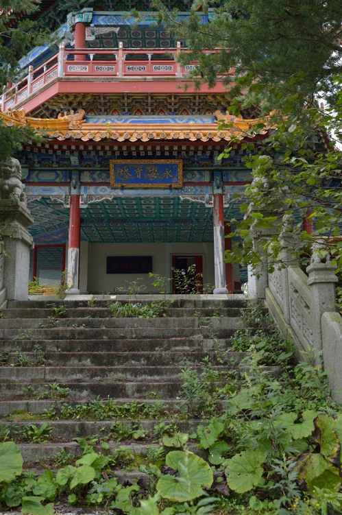 d0264503_2137139.jpg