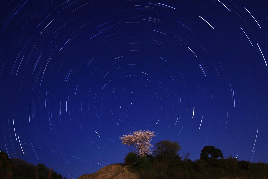 桜と北斗七星_e0093903_21114372.jpg