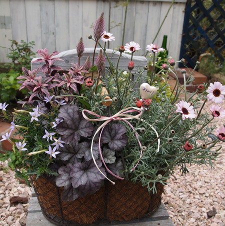 母の日ギフトに長持ちする寄せ植えを 花の庭づくり庭ぐらしガーデニングキララ