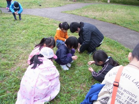 すみれば探検隊_b0049307_1326256.jpg