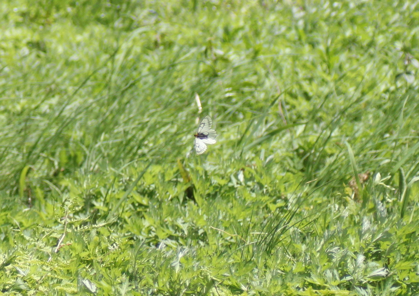 d0251807_5561352.jpg