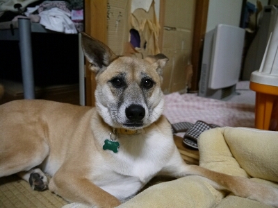 f0218911_2463263.jpg