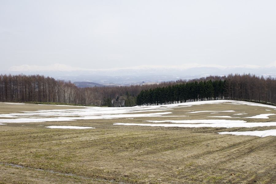 春なのですよ。_c0033513_196131.jpg