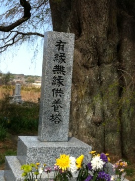 Fukushima から16km (その2)_c0125114_1941233.jpg