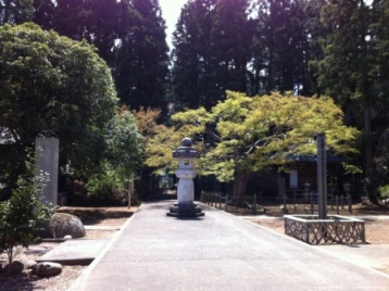Fukushima から16km (その2)_c0125114_194492.jpg