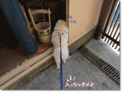 b0167519_21281843.gif