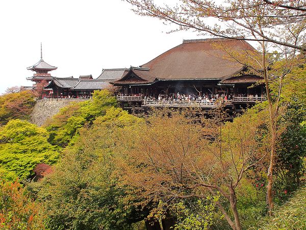  ＊京都・大阪・奈良の桜７名所_b0204819_9395120.jpg