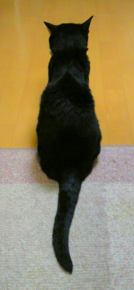 c0280322_23251760.jpg