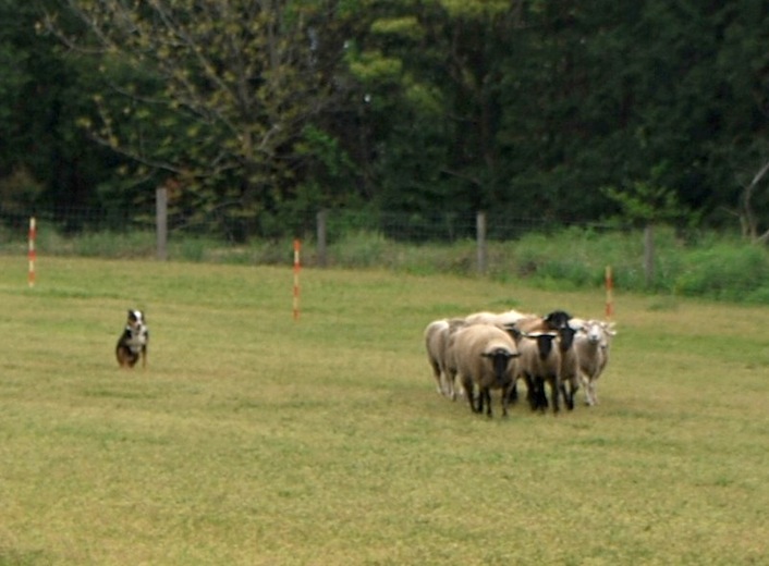 マザー牧場　動物編_f0155522_20165976.jpg