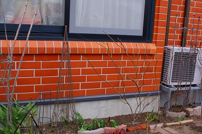 f0170524_13521779.jpg