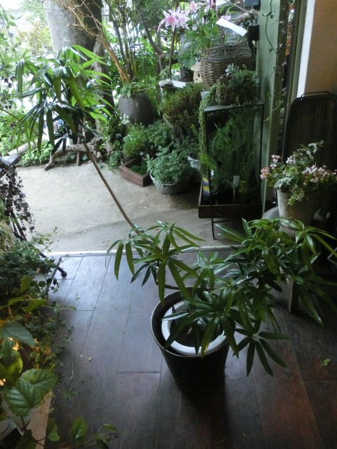 雨でも_c0102228_2232742.jpg