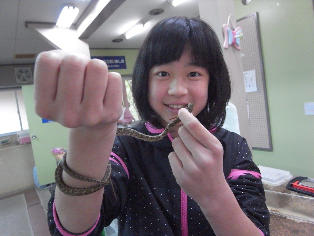 f0177529_15103443.jpg