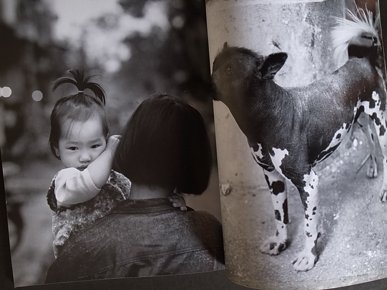 L'UOMO VOGUE JULY-AUGUST 1996 VIETNAM BY BRUCE WEBER : Books & Things L'UOMO VOGUE JULY-AUGUST 1996 VIETNAM BY BRUCE WEBER : Books & Things