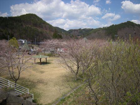 岩泉の山旅グリーンシーズンはじまり、はじまり~_b0206037_655717.jpg