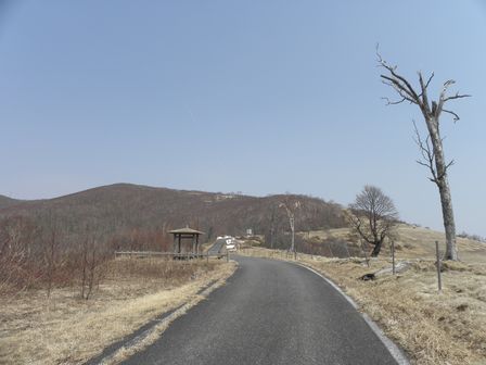 岩泉の山旅グリーンシーズンはじまり、はじまり~_b0206037_664584.jpg