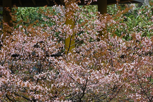 f0202445_10435794.jpg