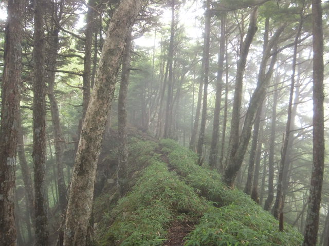 d0285546_15305360.jpg