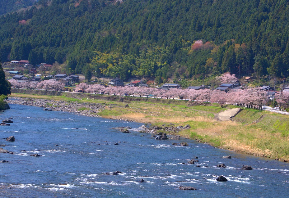 a0055650_7282954.jpg