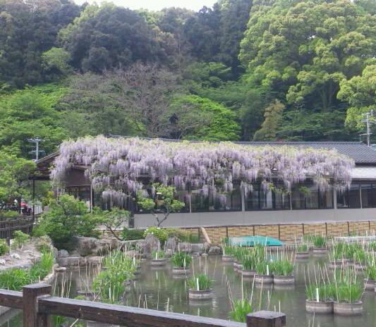 ぷち旅：（また）九州国立博物館に行ってきました。_d0052652_1291657.jpg