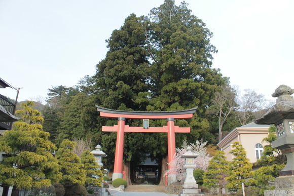 e0316056_21214.jpg